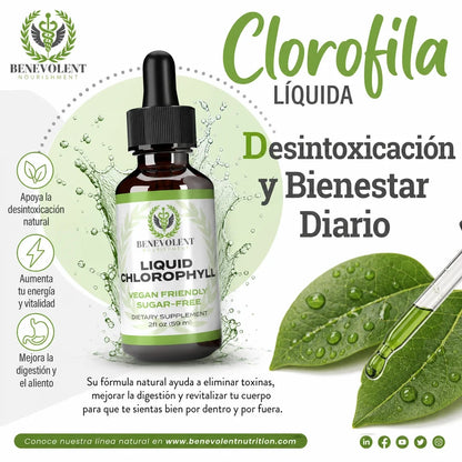 Gotas de Clorofila